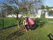 Uklízíme listí na zahrádce